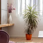 Lux On Kasuni In アパート *